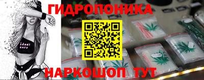 ГАЛЛЮЦИНОГЕННЫЕ ГРИБЫ Свободный