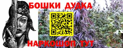 ГАЛЛЮЦИНОГЕННЫЕ ГРИБЫ Свободный